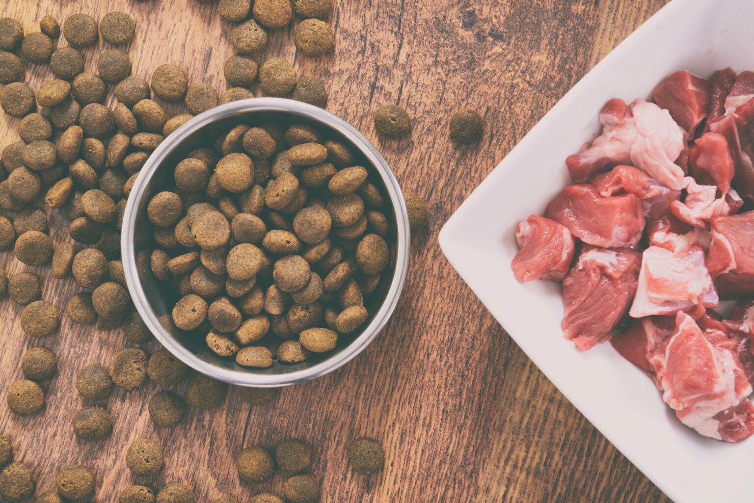 Guide complet pour choisir les meilleures croquettes pour son chien Bienvenue sur le blog